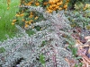 dscf2273
