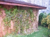 dscf2274