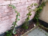 dscf2249