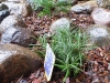 dscf2224