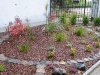 dscf2229