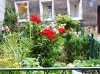dsc00067