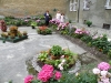 dscf8046-800x600