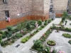 dscf8049-800x600