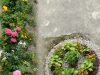 dscf8055-600x800