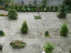 dscf8061-800x600