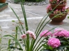 dscf8092-600x800