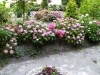 dscf8656