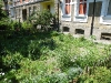 dscf1377