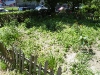 dscf1379