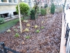 dscf2479