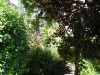 dscf1414