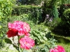 dscf1419