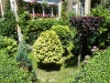 dscf1420