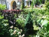 dscf1421